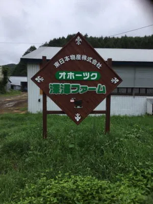 オホーツク深澤ファームの牧場風景